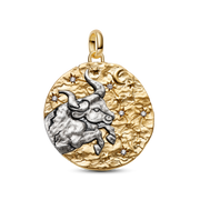 Taurus Zodiac Oversized Medallion Charm
