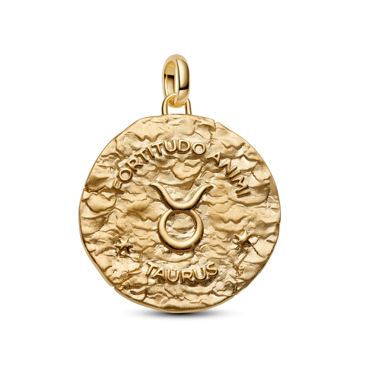 Taurus Zodiac Oversized Medallion Charm