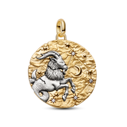 Capricorn Zodiac Oversized Medallion Charm