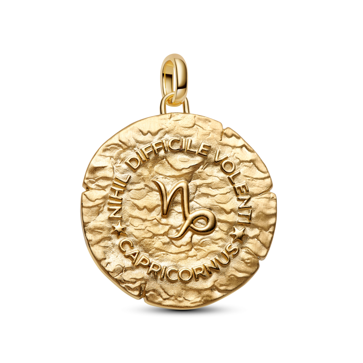 Capricorn Zodiac Oversized Medallion Charm