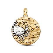 Cancer Zodiac Oversized Medallion Charm