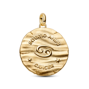 Cancer Zodiac Oversized Medallion Charm