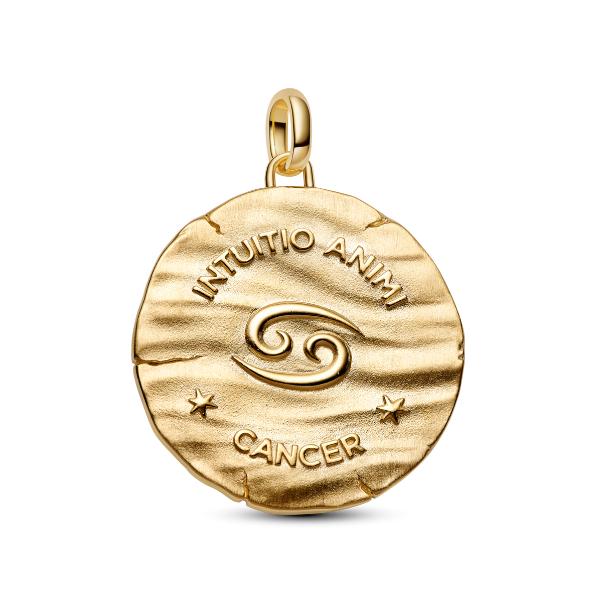 Cancer Zodiac Oversized Medallion Charm