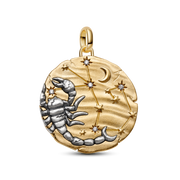 Scorpio Zodiac Oversized Medallion Charm