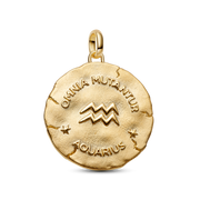Aquarius Zodiac Oversized Medallion Charm