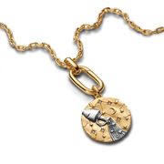 Aquarius Zodiac Oversized Medallion Charm