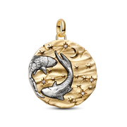 Pisces Zodiac Oversized Medallion Charm