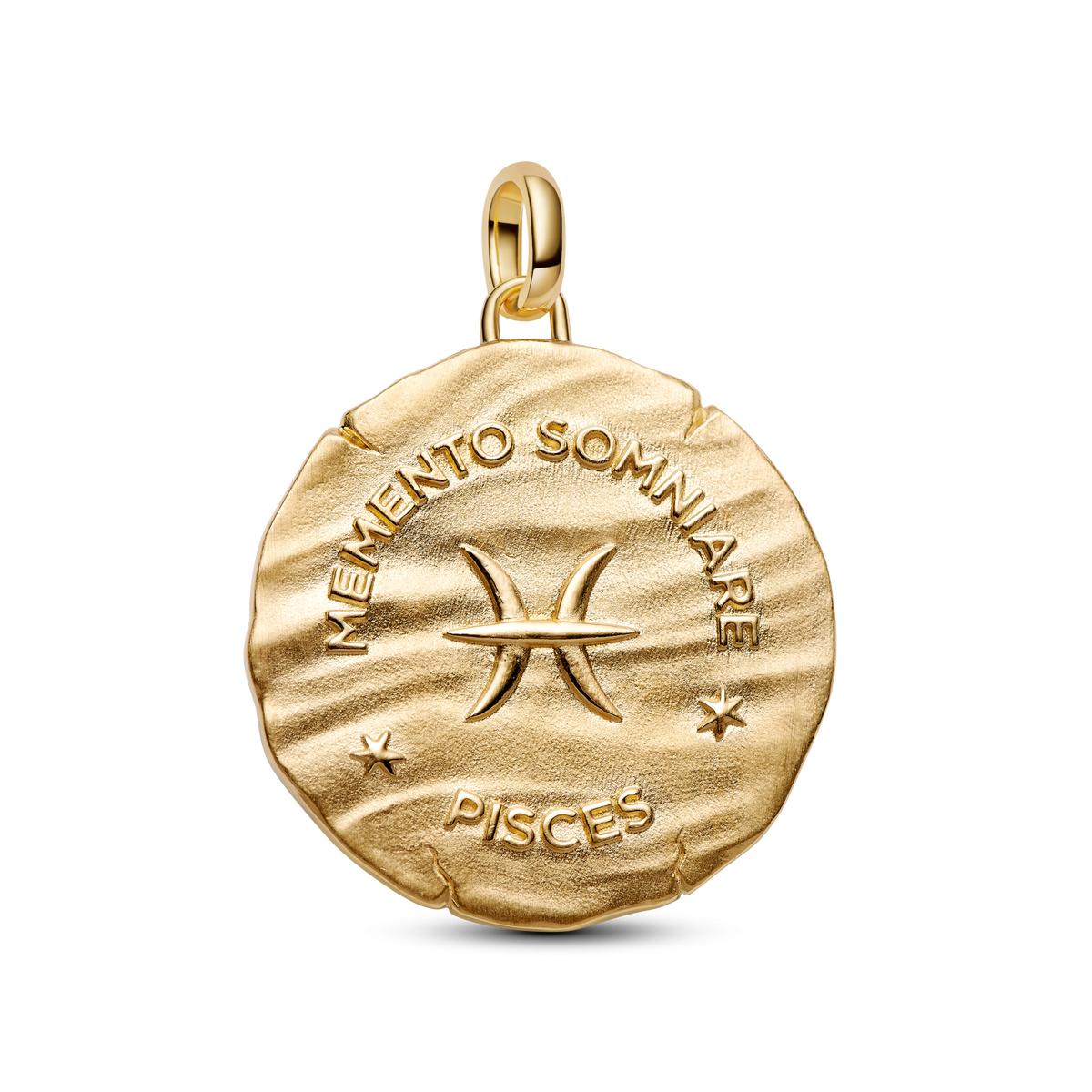 Pisces Zodiac Oversized Medallion Charm