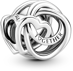 Family Always Encircled Heart Charm