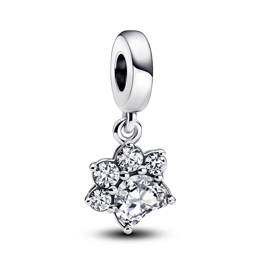 Sparkling Pet Paw Print Dangle Charm