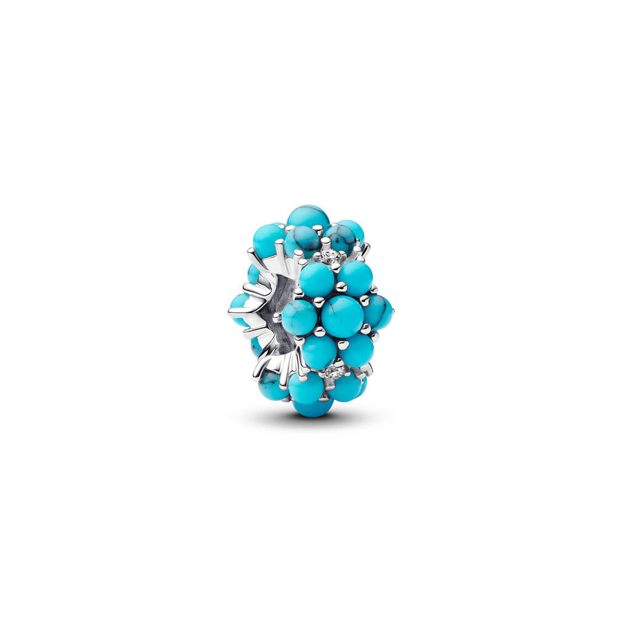 Coral-colored Ocean Charm