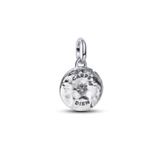 Skull Medallion Charm