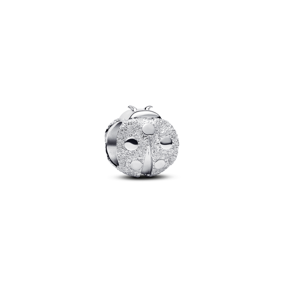 Textured Ladybird Mini Charm