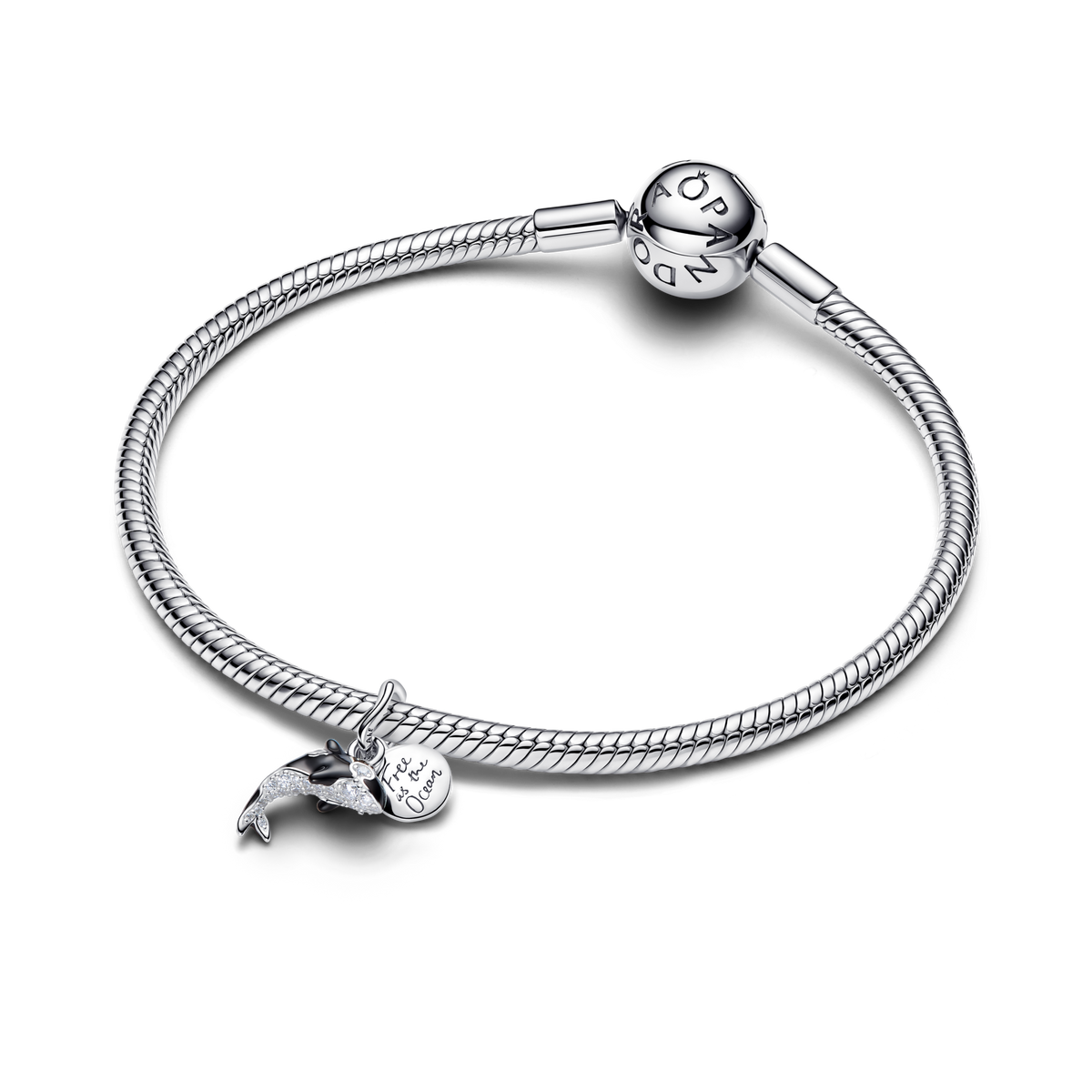 Orca Dangle Charm
