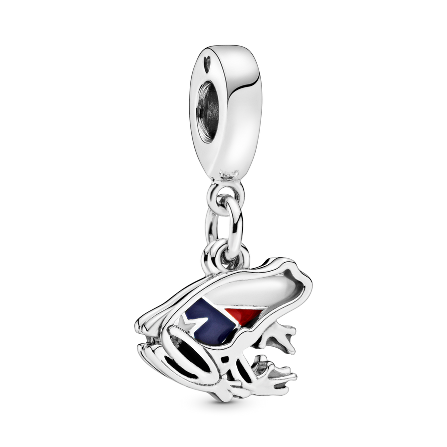 Puerto Rico Frog Dangle Charm