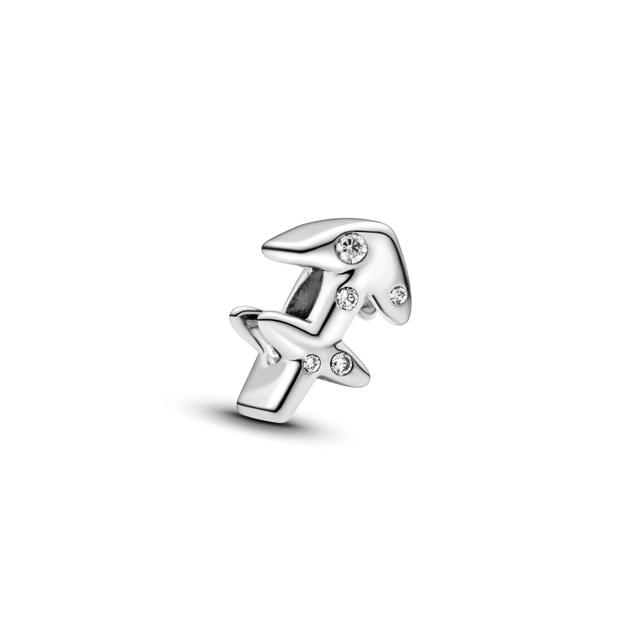 Sparkling Sagittarius Zodiac Charm