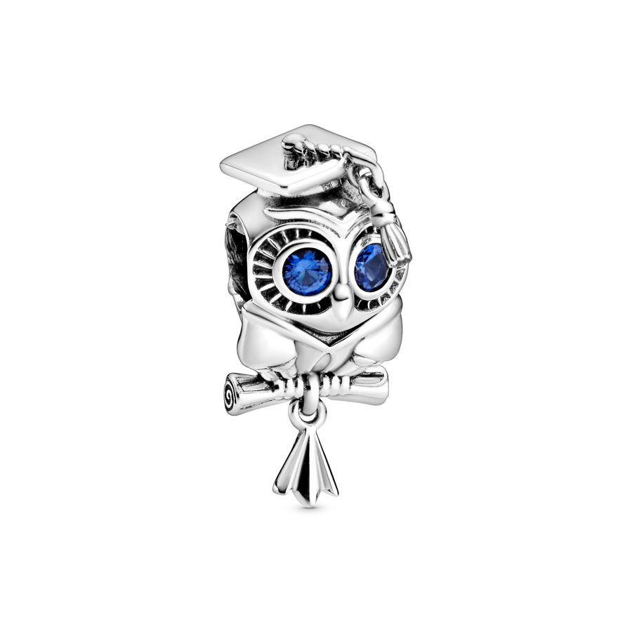 Wise Owl Graduation Charm