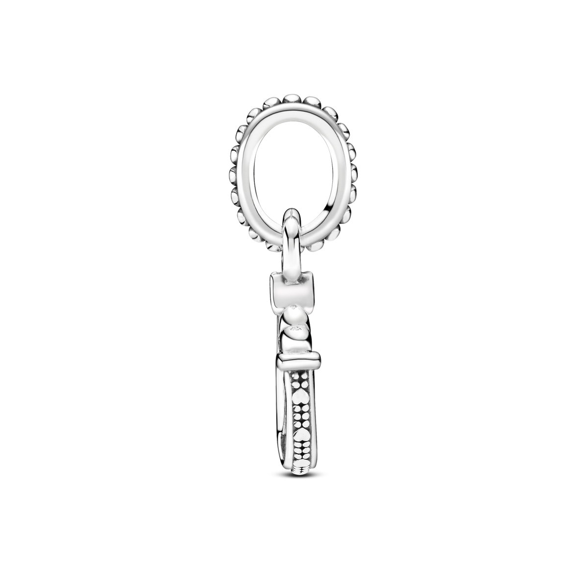 Good Luck Horseshoe Dangle Charm