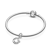Good Luck Horseshoe Dangle Charm