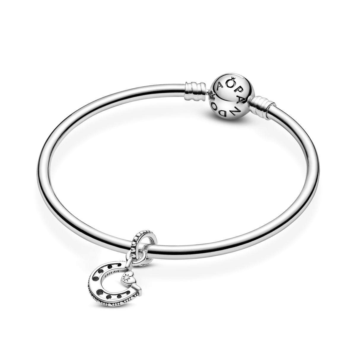 Good Luck Horseshoe Dangle Charm