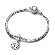 Lawyer Dangle Charm