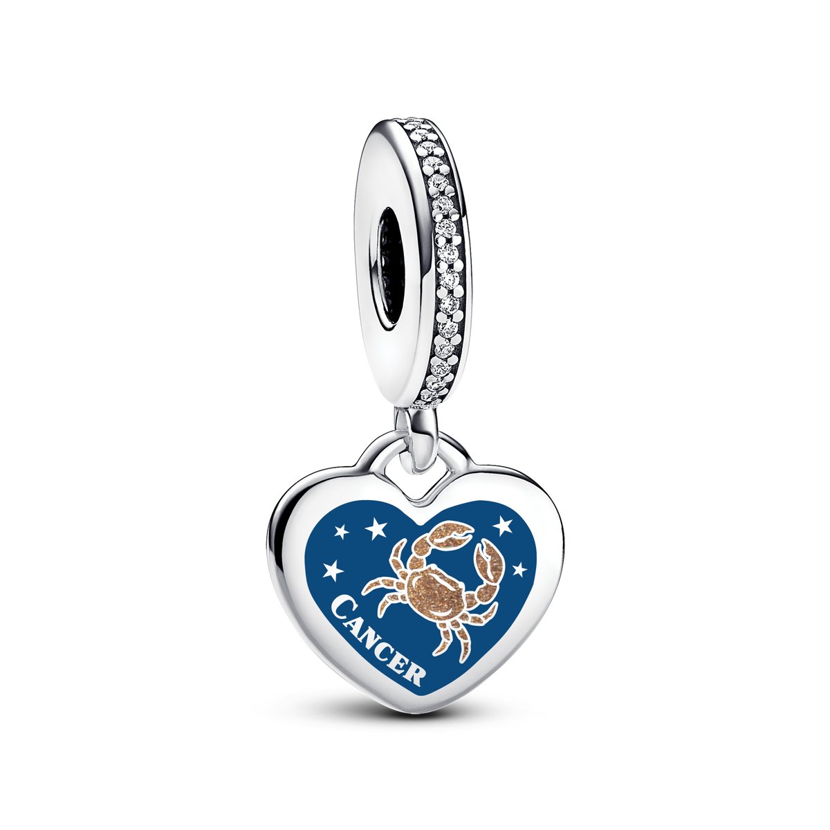 Cancer Dangle Charm Bracelet Set