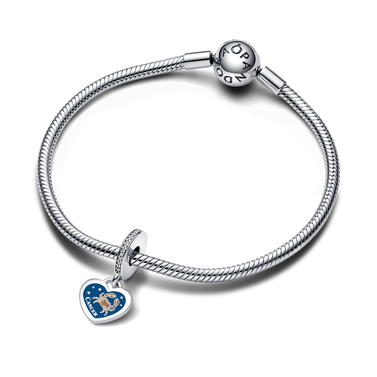Cancer Dangle Charm
