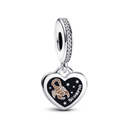 Scorpio Dangle Charm Bracelet Set