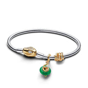 Lunar New Year Snake Clasp & Chain Charm Bracelet Set
