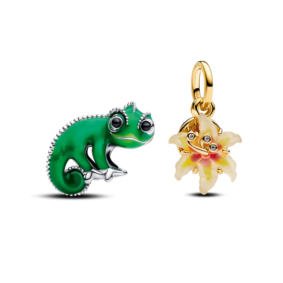 Disney Tangled Charm Duo