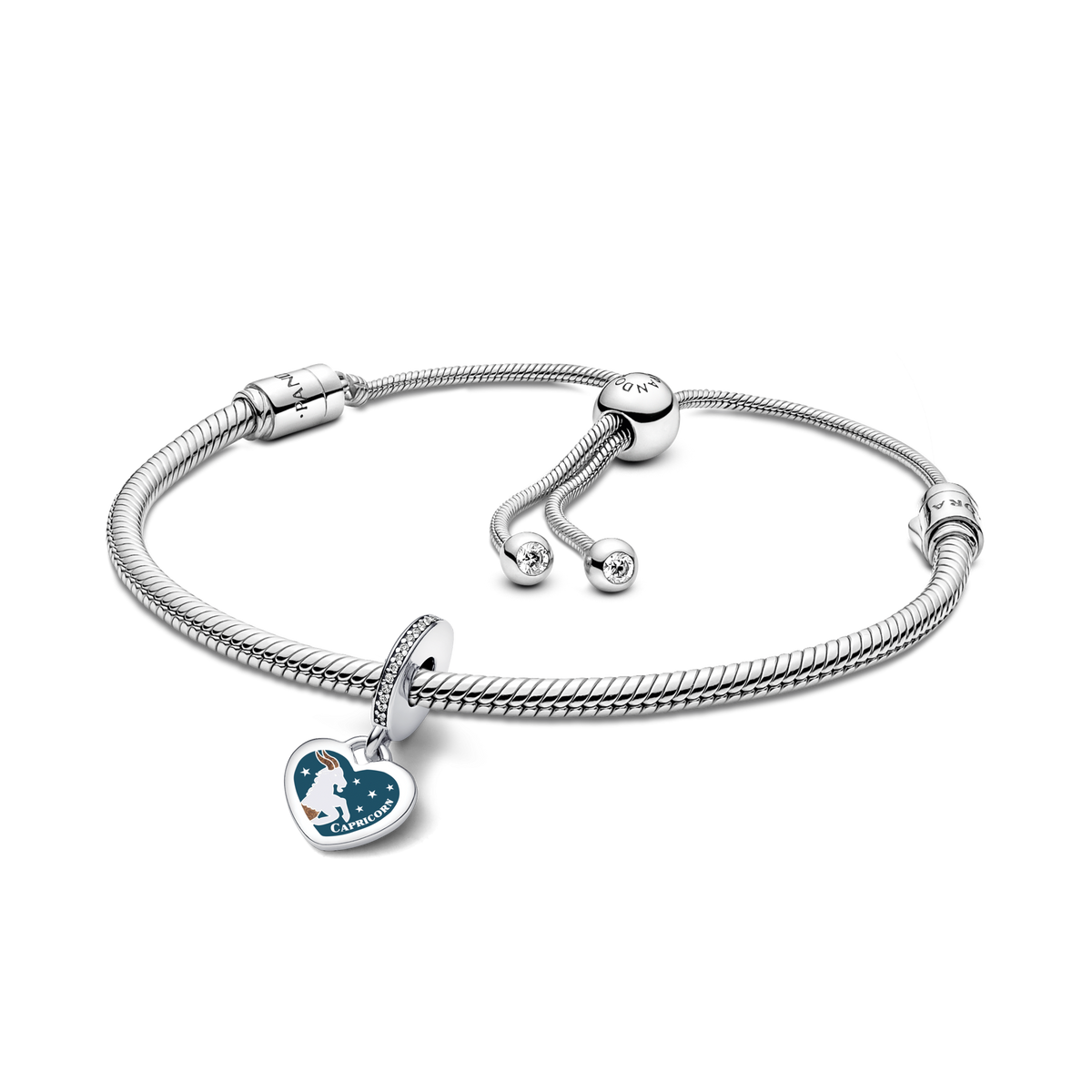 Capricorn Dangle Charm Bracelet Set