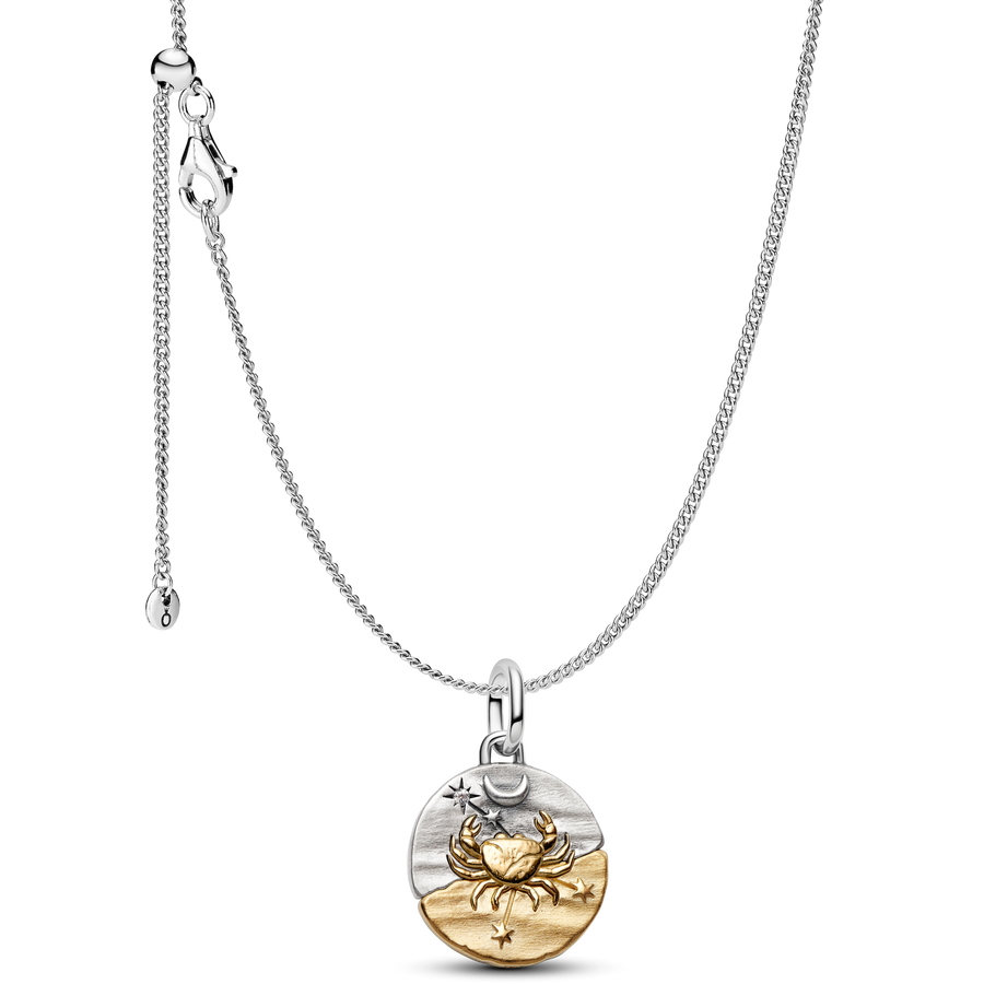 Cancer Medallion  Charm Necklace Set