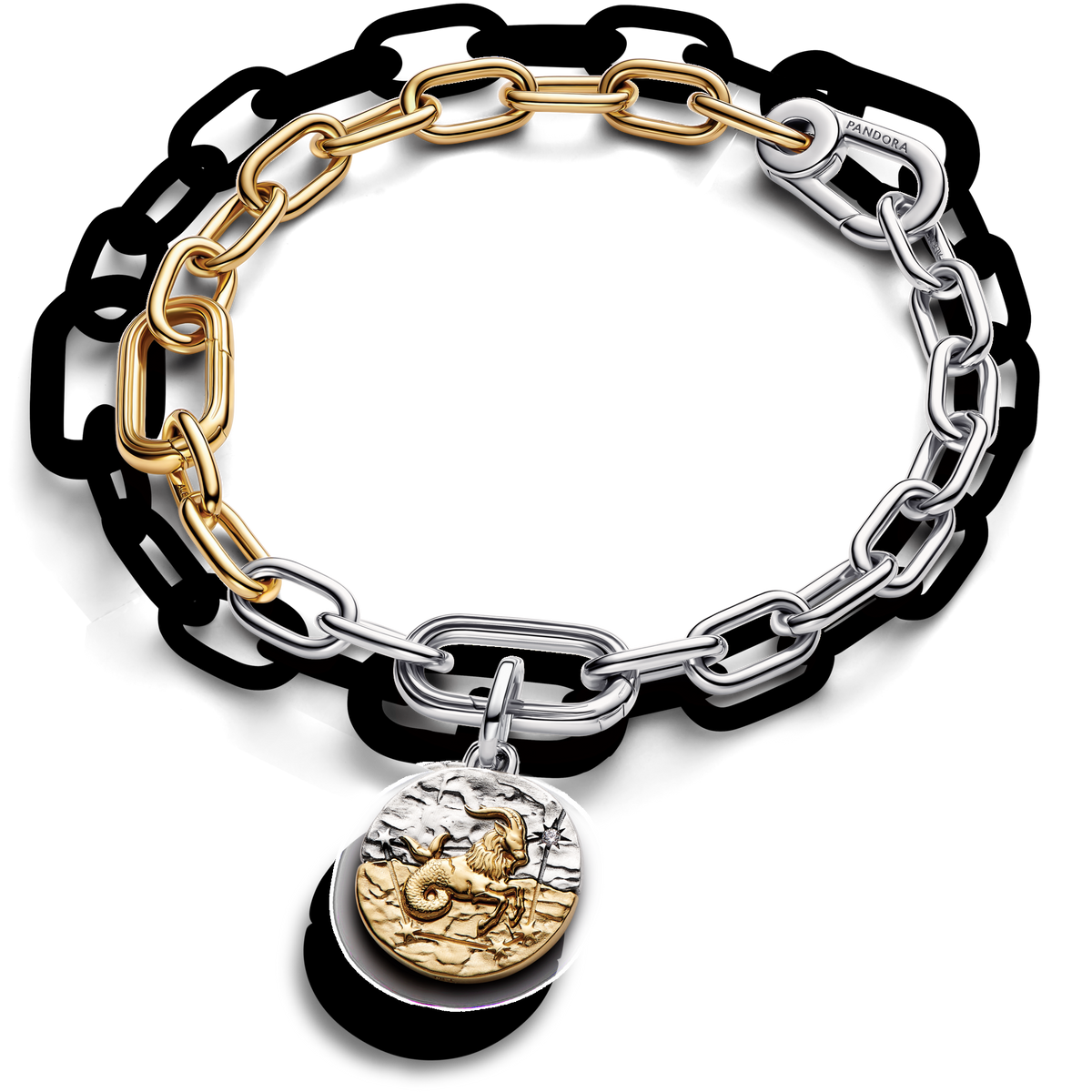 Capricorn Medallion Charm Bracelet Set