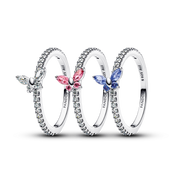 Butterfly Friendship Trio